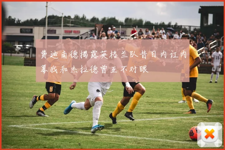 费迪南德揭露英格兰队昔日内讧内幕我和杰拉德曾互不对眼
